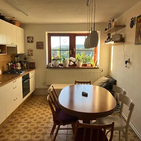 Вилла Cat'S House- Dum U Trech Kocek Zdice Экстерьер фото