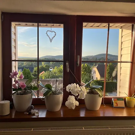 Вилла Cat'S House- Dum U Trech Kocek Zdice Экстерьер фото
